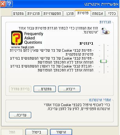 לשונית פרטיות, דפדפן internet explorer