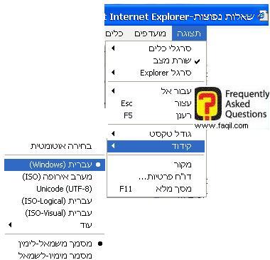 בחירת קידוד מתאים, דפדפן internet explorer