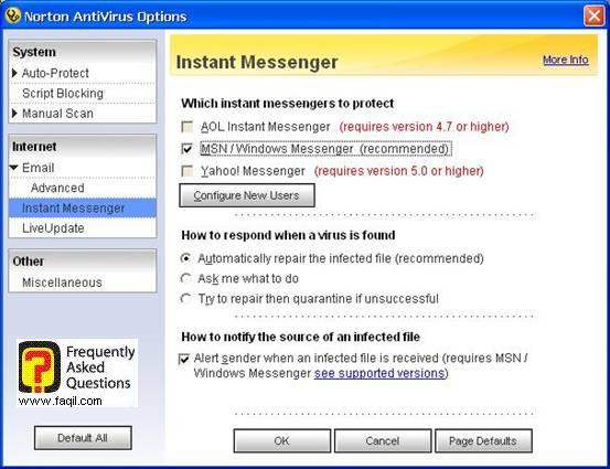 אפשרויות תוכנות מסרים מידיים,האנטיוירוס נורטון 2005|Norton Anti Virus 2005 