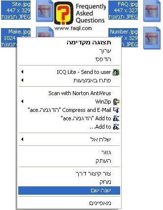 בחירה בשנה שם,באקספי