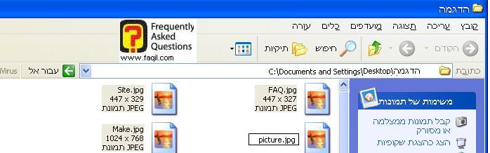 בחירה בשם הרצוי לקובץ הממוספר,באקספי